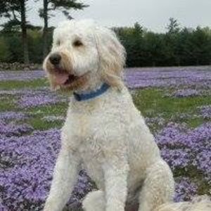 Meet your Posher, Bethany